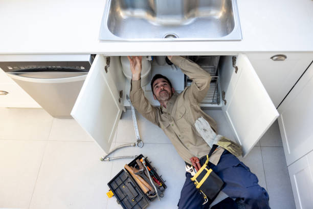 Best Local Plumber Services  in Haines City, FL